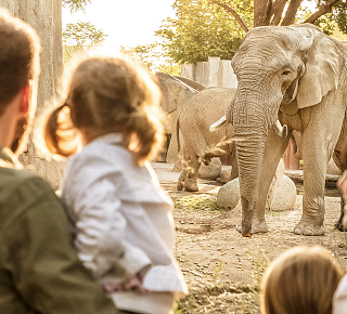 106.032001 BT Recoverykampagne Header 2000px Safari