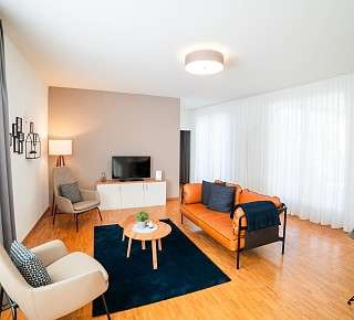 3.5 Zimmer Apartment Wohnzimmer 3