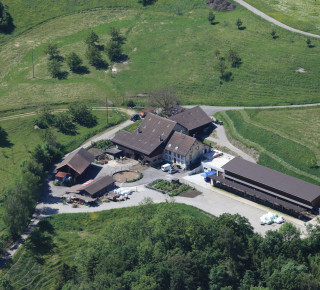 The Hof Baregg from above